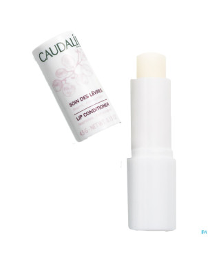 Caudalie corps soin levres    4g promo