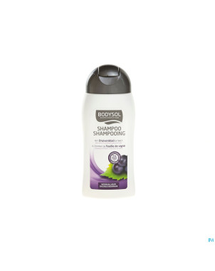 Bodysol shampoo chev normaux 200ml new
