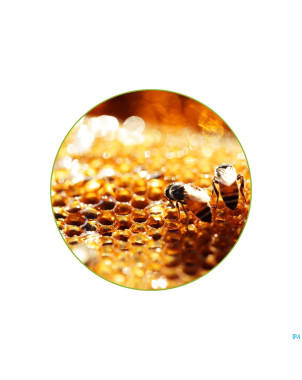 Propolis glm gutt 100ml