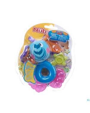 Nuby figure dentition refrigerant +4m