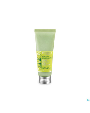 L'occitane angelique gommage rosee matin    75ml