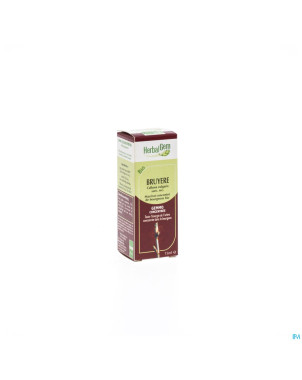 Herbalgem bruyere macerat-mere unitaire 15ml