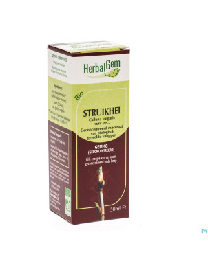 Herbalgem bruyere macerat-mere unitaire 50ml