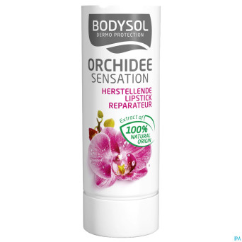 Bodysol stick levres orchidee 4,8g