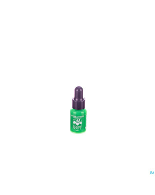 Lisandra cosmenail vao  24 vert printemps    5ml