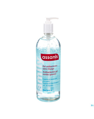 Assanis family gel a/bacterien s/rincage 980ml