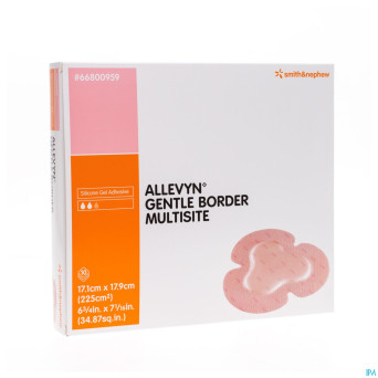 Allevyn gentle border multisite indiv. 10 66800959
