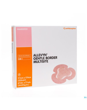 Allevyn gentle border multisite indiv. 10 66800959