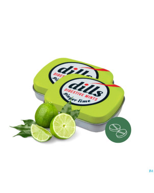 Dills ginger & lime mints s/sucre 15g