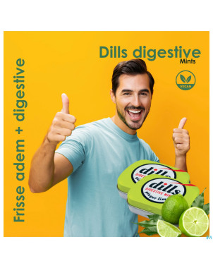 Dills ginger & lime mints s/sucre 15g