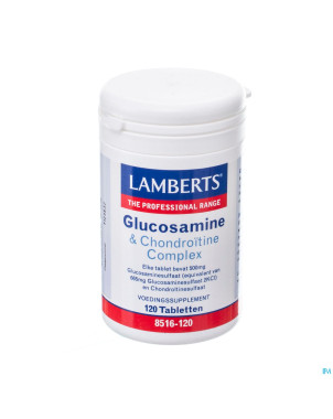 Lamberts glucosamine & chondroitine tabl 120