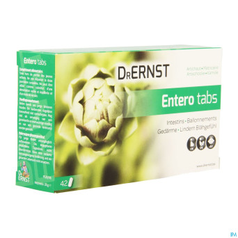 Dr ernst enterotabs    comp 42