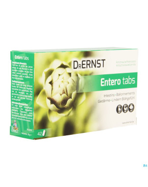 Dr ernst enterotabs    comp 42