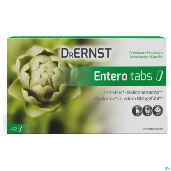 Dr ernst enterotabs    comp 42