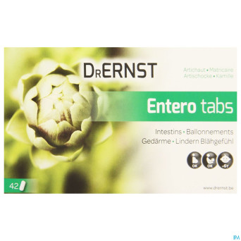 Dr ernst enterotabs    comp 42