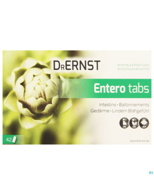 Dr ernst enterotabs    comp 42