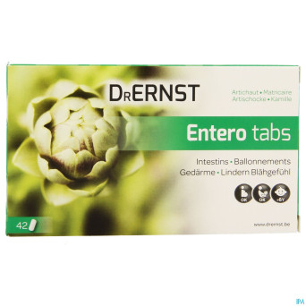 Dr ernst enterotabs    comp 42