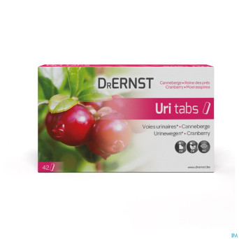 Dr ernst uritabs    comp 42