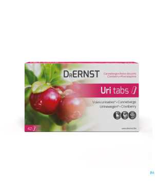 Dr ernst uritabs    comp 42