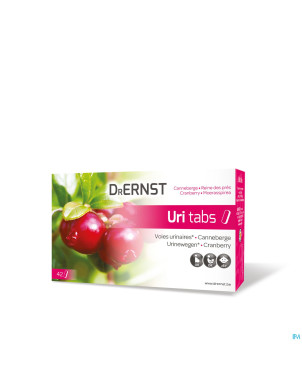 Dr ernst uritabs    comp 42