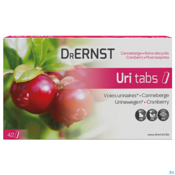 Dr ernst uritabs    comp 42