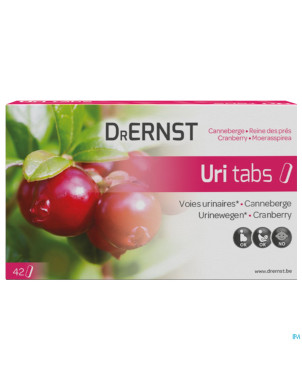 Dr ernst uritabs    comp 42