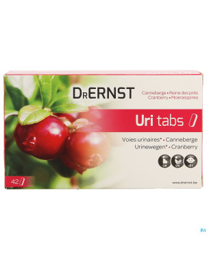 Dr ernst uritabs    comp 42