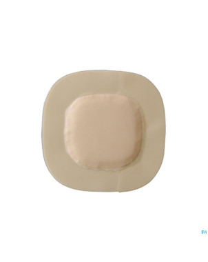 Biatain super adhesif    20,0cmx20,0cm 10 4620