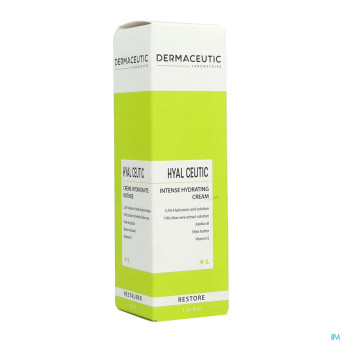 Dermaceutic hyalceutic    40ml rempl.2956035