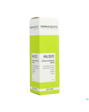 Dermaceutic hyalceutic    40ml rempl.2956035
