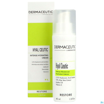 Dermaceutic hyalceutic    40ml rempl.2956035
