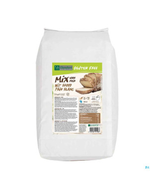 Damhert melange pain blanc s/gluten    5kg
