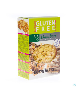 Damhert cornflakes s/gluten    250g