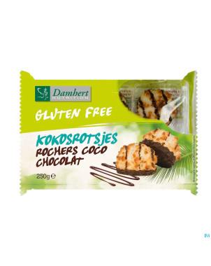 Damhert rochers de coco chocolate s/gluten    250g