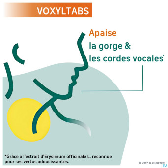 Voxyltabs past a sucer 24 rempl.2663490