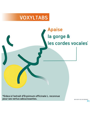 Voxyltabs past a sucer 24 rempl.2663490