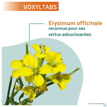 Voxyltabs past a sucer 24 rempl.2663490