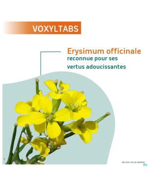 Voxyltabs past a sucer 24 rempl.2663490