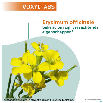 Voxyltabs past a sucer 24 rempl.2663490