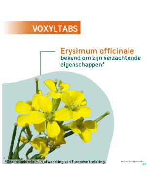 Voxyltabs past a sucer 24 rempl.2663490