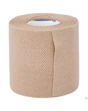 Putter-haft    6cmx5m  1 9318401