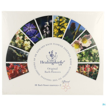 Healing herbs set    40x10ml