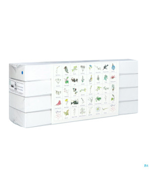 Healing herbs set    40x30ml