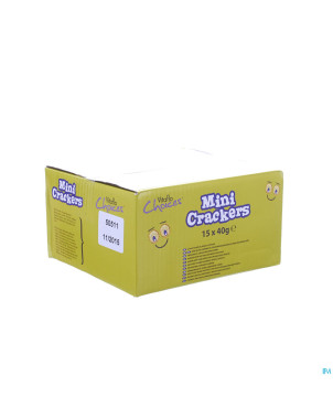 Choices mini crackers 15x40g