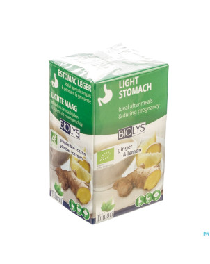 Biolys gingembre - citron    tea-bags 20