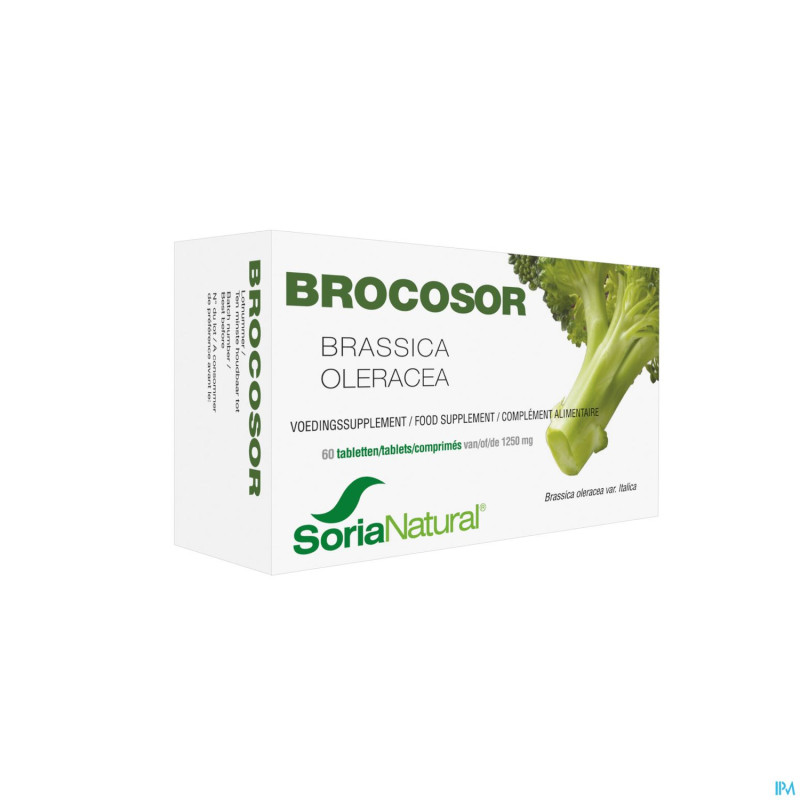 Soria brocosor    comp 60
