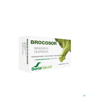 Soria brocosor    comp 60