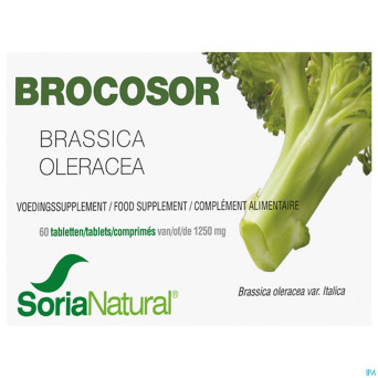 Soria brocosor    comp 60