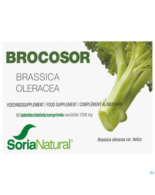 Soria brocosor    comp 60