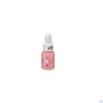 Lisandra serr'ongle 201 soins nuit    5ml